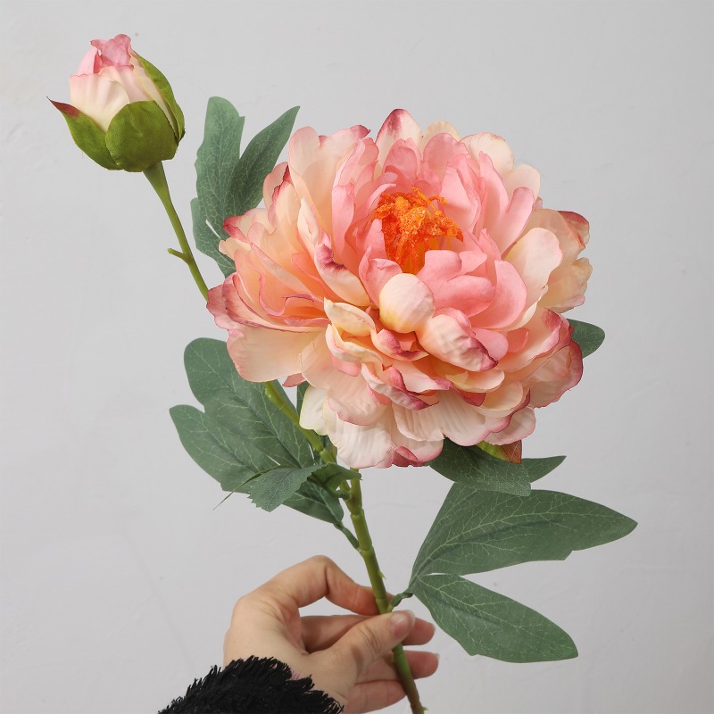 模擬牡丹4個、2つの花頭、焦げた端、強い香り、牡丹のリビング - Home Fragrance Edg のレビューと価格